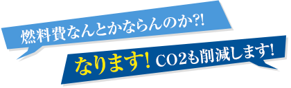 RȂƂȂ̂HIȂ܂I CO2팸܂I